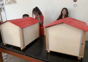IMG_5850b IMG_5850b