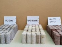 Caratterizzazione formazioni rocciose del Sulcis: primi risultati Caratterizzazione formazioni rocciose del Sulcis: primi risultati