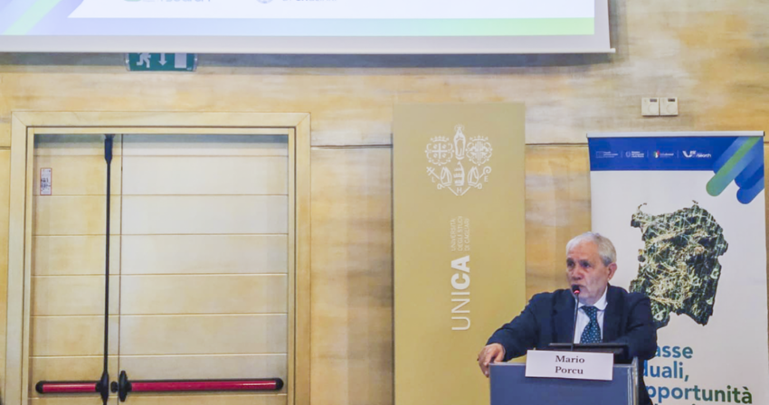 Il ruolo delle biomasse nella decarbonizzazione della Sardegna Il ruolo delle biomasse nella decarbonizzazione della Sardegna