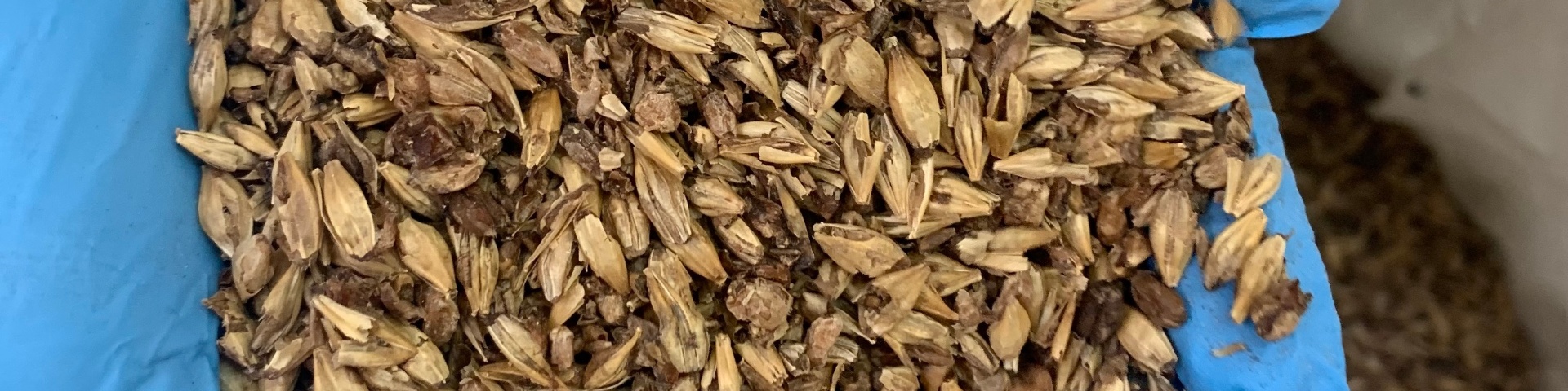 43F460C9-1F85-4710-9AA6-45014C0E16B5_1_201_a 43F460C9-1F85-4710-9AA6-45014C0E16B5_1_201_a