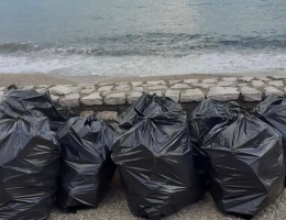 A392B944-51FE-466C-A986-B556759EFA71_1_201_a A392B944-51FE-466C-A986-B556759EFA71_1_201_a