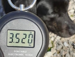 E0FF26F5-0B16-4AB6-AC45-E6C0AAD9CC5F_1_201_a E0FF26F5-0B16-4AB6-AC45-E6C0AAD9CC5F_1_201_a