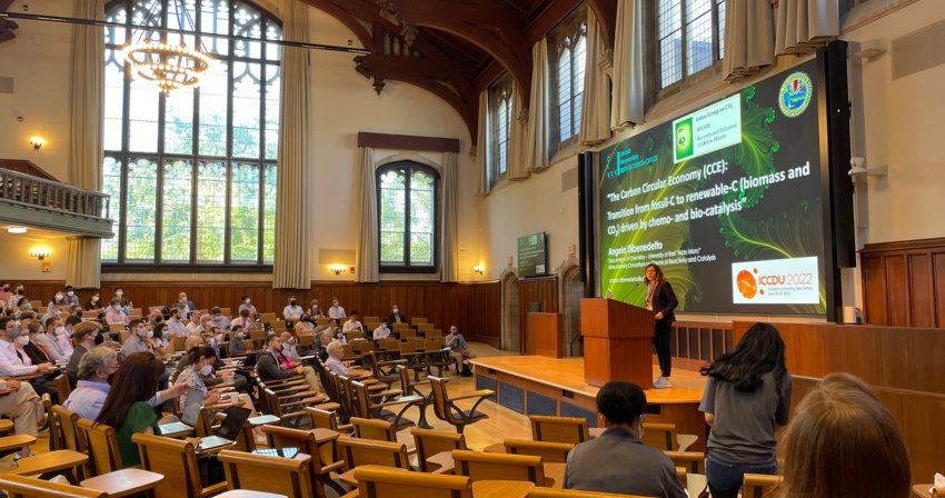 ICCDU XIX – Princeton University ICCDU XIX – Princeton University