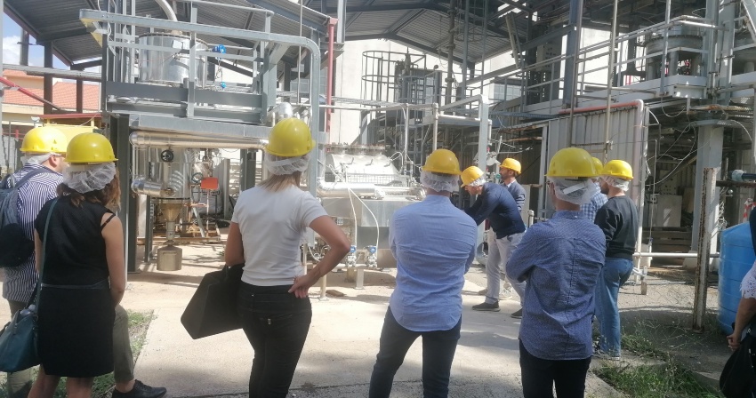 Presentazione dei risultati Presentazione dei risultati