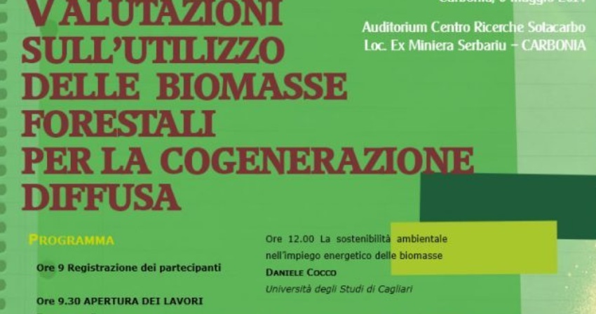 WS-Biomasse-6.5.14 WS-Biomasse-6.5.14