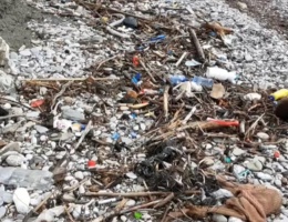 Il viaggio di Carola per ripulire le spiagge europee Il viaggio di Carola per ripulire le spiagge europee