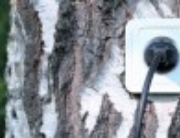 Biomasse: residuali o colture dedicate? Biomasse: residuali o colture dedicate?