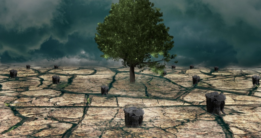 Giornata mondiale della metereologia Giornata mondiale della metereologia