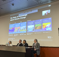 Immagine che contiene testo, interno, vestiti, uomo