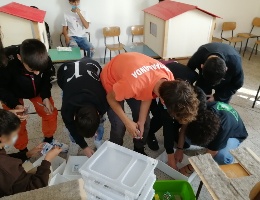 sota energy 3A _7 sota energy 3A _7