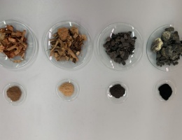 Analisi termica e cinetica dei combustibili Analisi termica e cinetica dei combustibili