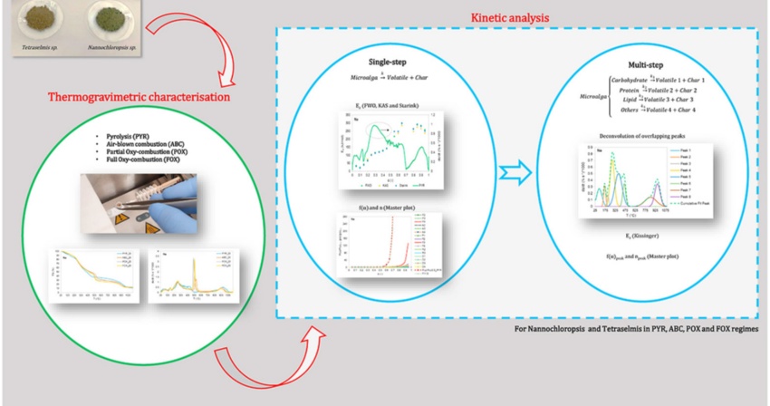 (2021) Thermogravimetric characterisation and kinetic analysis of Nannochloropsis sp. and Tetraselmis sp. microalgae for pyrolysis, combustion and oxy-combustion (2021) Thermogravimetric characterisation and kinetic analysis of Nannochloropsis sp. and Tetraselmis sp. microalgae for pyrolysis, combustion and oxy-combustion