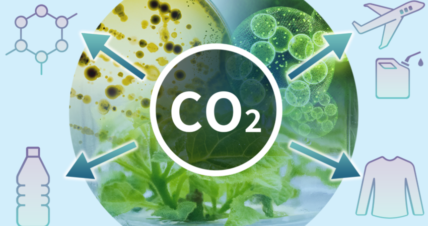 from https://green-innovation.nedo.go.jp/en/project/bio-manufacturing-technology/ from https://green-innovation.nedo.go.jp/en/project/bio-manufacturing-technology/