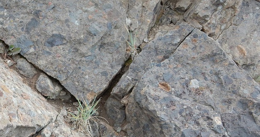 Volcaniclastics Volcaniclastics