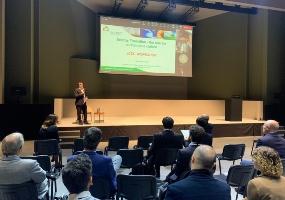 Workshop The Energy Transition 2022. Session 5. Alberto Pettinau (Sotacarbo), chairman. Workshop The Energy Transition 2022. Session 5. Alberto Pettinau (Sotacarbo), chairman.