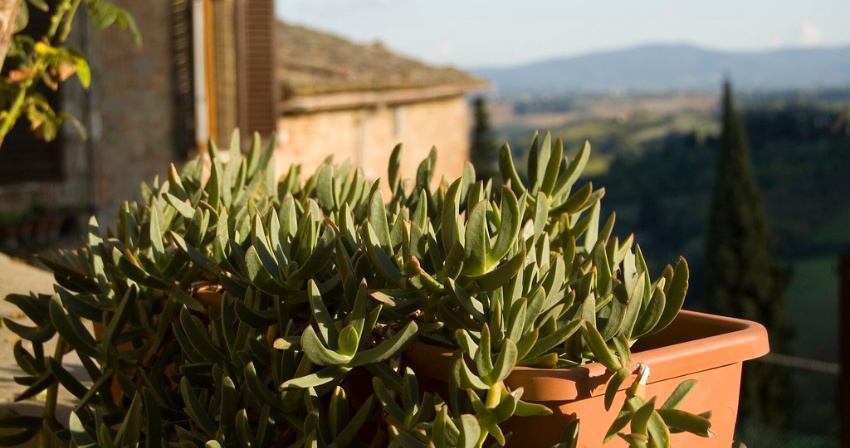 4087317030_586c3b67f7_b 4087317030_586c3b67f7_b