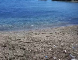 4715F530-EBDD-4B61-899D-D4F8CF95FB3F_1_201_a 4715F530-EBDD-4B61-899D-D4F8CF95FB3F_1_201_a