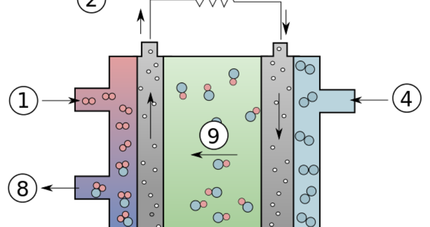 Alkalinecell Alkalinecell