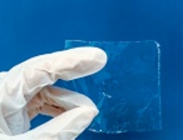 Nuovo materiale con filtro UV dalle alghe Nuovo materiale con filtro UV dalle alghe