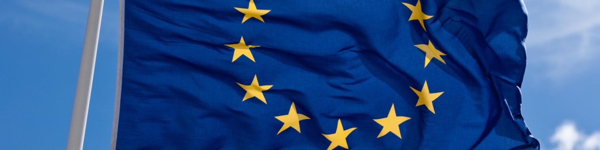 European Union Flag European Union Flag