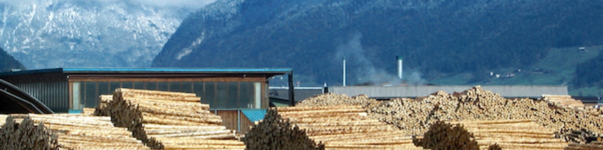 biomass-comb biomass-comb