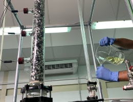 Assorbimento della CO2 con solventi a base di sali di amminoacidi Assorbimento della CO2 con solventi a base di sali di amminoacidi