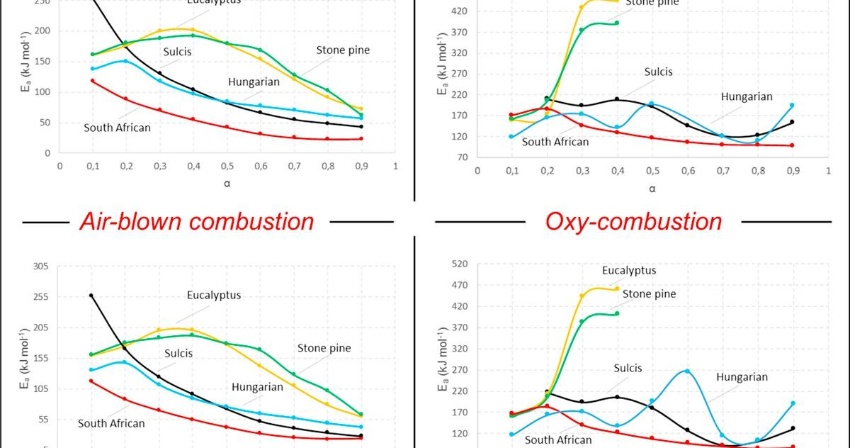 (2018) Air- and oxygen-blown characterization of coal and biomass by thermogravimetric analysis (2018) Air- and oxygen-blown characterization of coal and biomass by thermogravimetric analysis