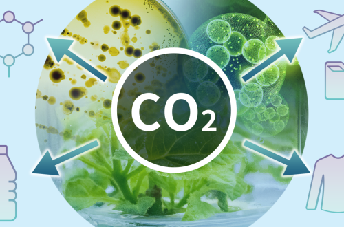 from https://green-innovation.nedo.go.jp/en/project/bio-manufacturing-technology/ from https://green-innovation.nedo.go.jp/en/project/bio-manufacturing-technology/